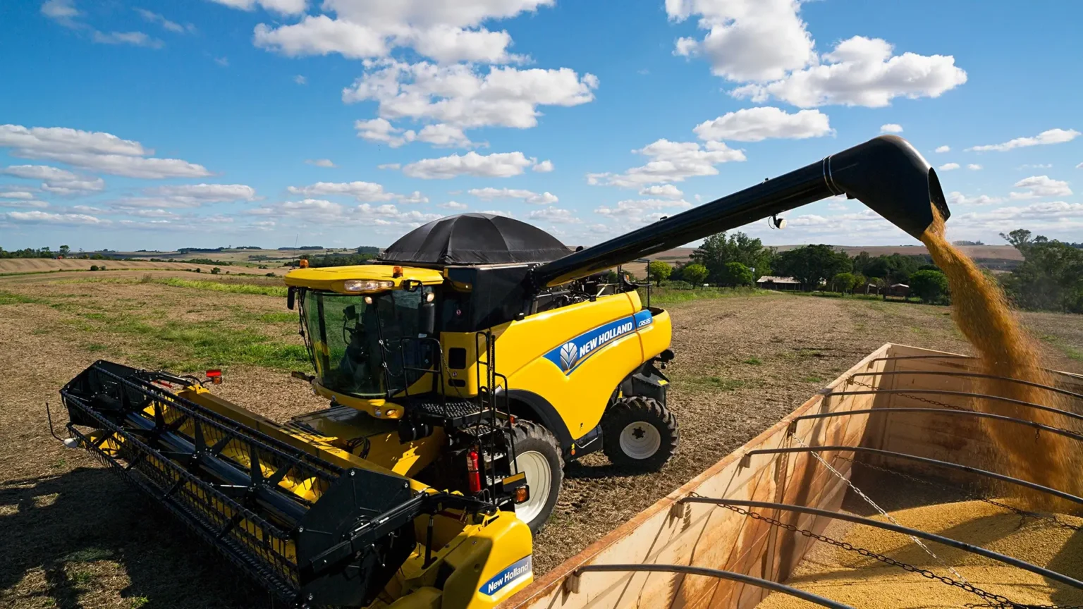 colheitadeiras-new-holland-modelo-cr-em-campo-dispensando-graos